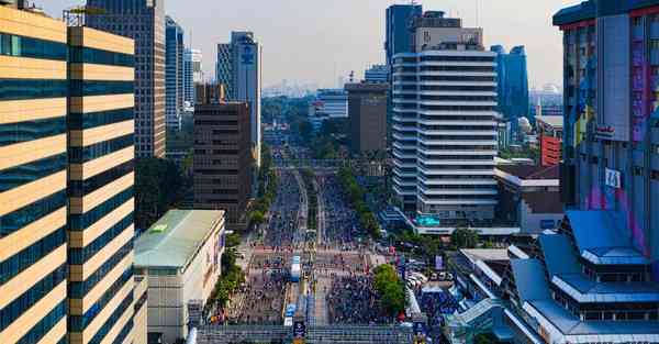 属猪2024年10月12日运势,属猪人2024年10月12日财运,生肖猪2024年10月12日运势